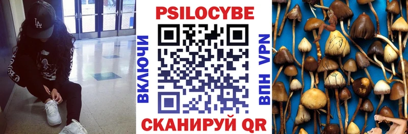 Галлюциногенные грибы Psilocybine cubensis  купить   Железногорск-Илимский 